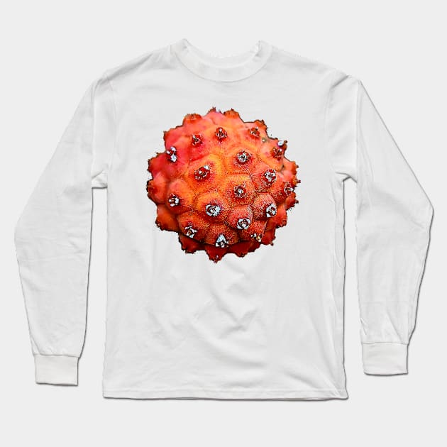 Orange Tree Seed Long Sleeve T-Shirt by SeththeWelsh